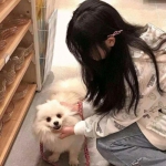 三界战歌h5在线玩